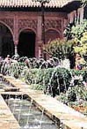 the next door neighbour's garden: Generalife garden Granada, Andalucia, Spain